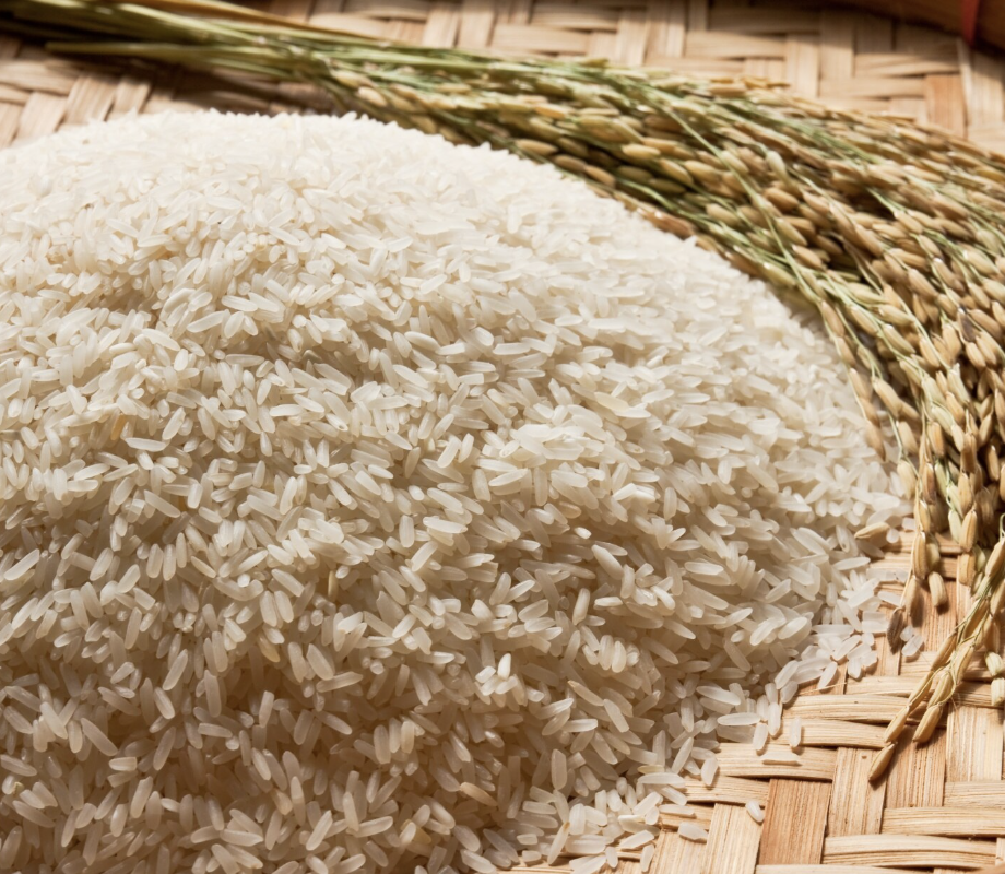 Weekly Commodity Insights: Rice